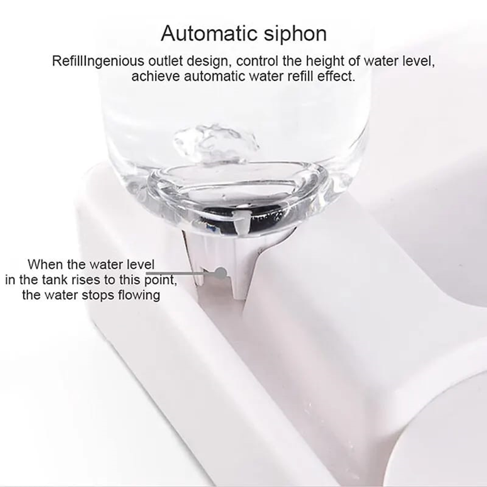 Dispensador de agua - Imagen 2